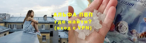 PSILOCYBIN Белоозёрский