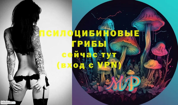 PSILOCYBIN Белоозёрский