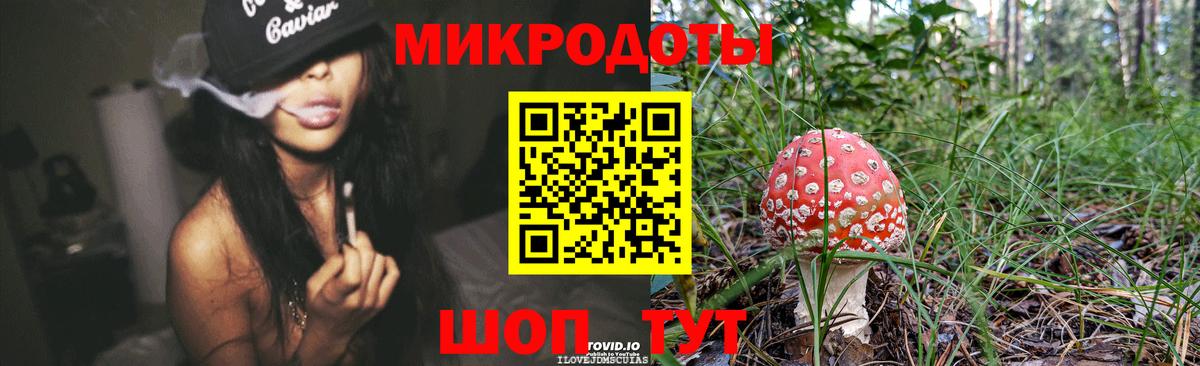 Гай  Псилоцибиновые грибы мухоморы  Вход с VPN 